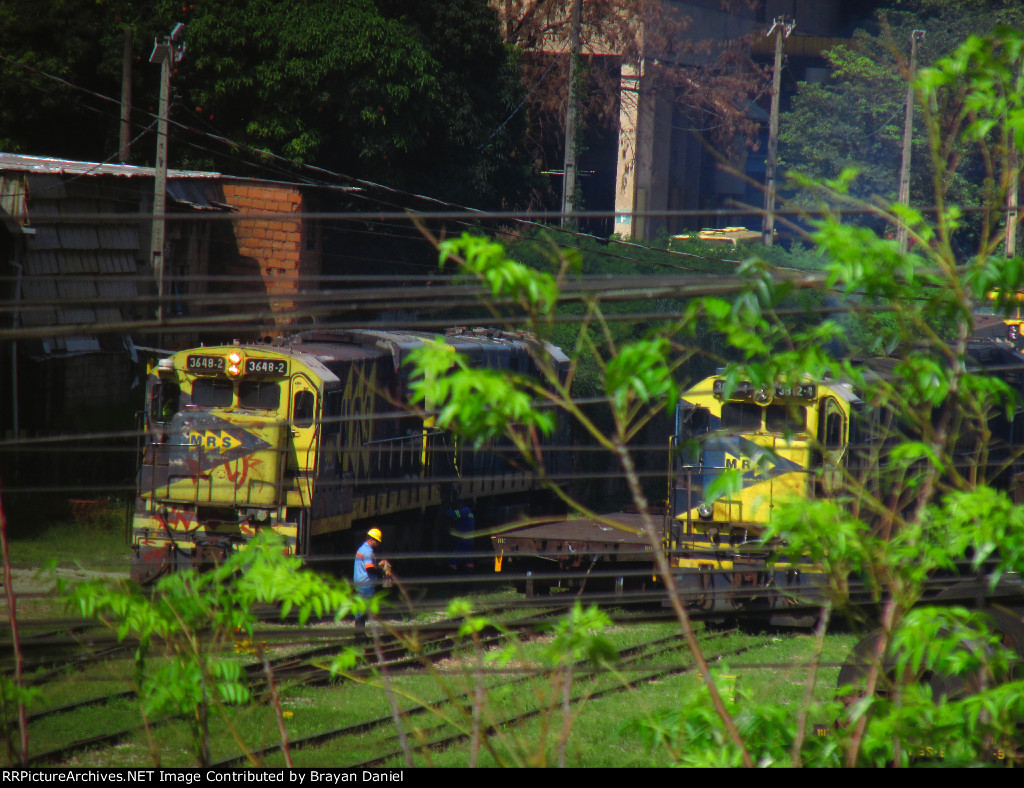 MRSL 3648
